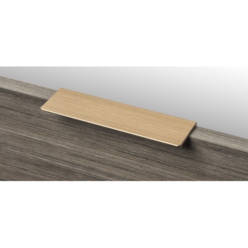 Cabinet Handle (L805-160AB)